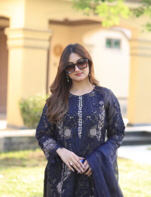 Sapphire Nocturne: Luxury Chiffon Embroidered Ensemble