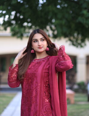 Crimson Desire: Tonal Embroidered Festive Ensemble