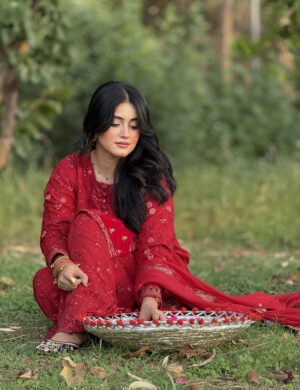 Scarlet Velour: Tonal Embroidered Festive Suite